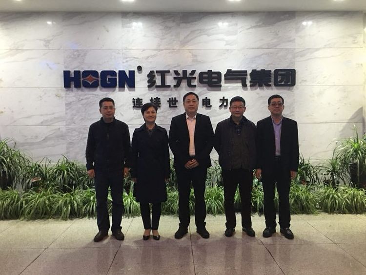 温州市质量手艺监视局局长朱云华一行莅临NG电子游戏考察