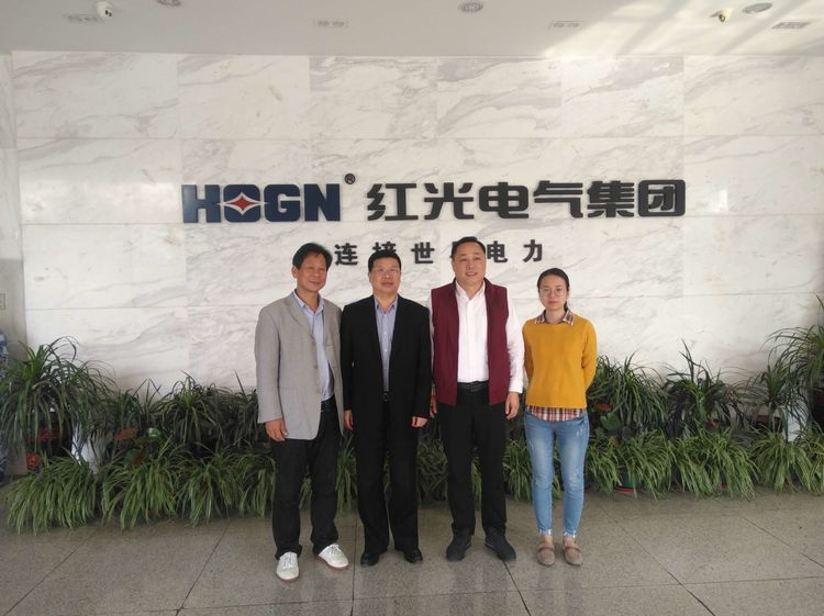 乐清市人大副主任王友闻莅临NG电子游戏开展助企事情